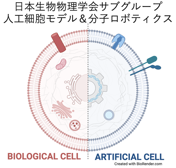 日本生物物理学会サブグループ 人工細胞モデル＆分子ロボティクス